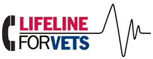 logo vso